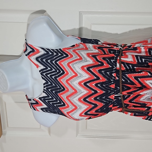 Emily West ,lace with white lining and slip , fun colors ,sleeveless - Picture 3 of 14